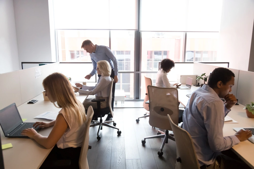 professional business workers